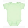 thumbnail image 1 of Rabbit Skins - Infant Baby Rib Bodysuit - 4400, 12M, Mint, 1 of 2