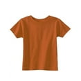 thumbnail image 1 of Rabbit Skins Infant Cotton Jersey T-Shirt 3401, 1 of 4
