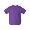thumbnail image 1 of Rabbit Skins RS3301 Toddler Cotton Jersey T-Shirt (2 PACK), 1 of 1
