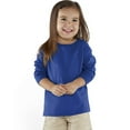 thumbnail image 1 of Rabbit Skins Toddler Long-Sleeve Fine&nbsp;Jersey T-Shirt - RS3302, 1 of 1