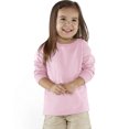 thumbnail image 1 of Rabbit Skins Toddler Long-Sleeve Fine&nbsp;Jersey T-Shirt - RS3302, 1 of 1