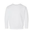 thumbnail image 1 of Rabbit Skins Toddler Sweatshirt Boys & Girls | Long Sleeve Fleece , White, 3T, 1 of 4