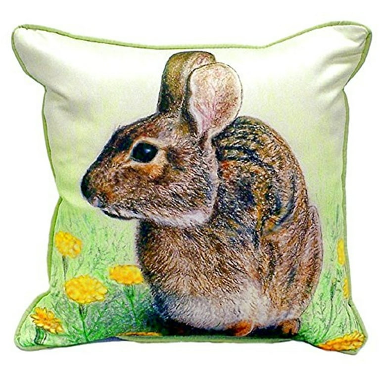 Small decorative pillows 12x12 hotsell