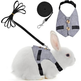 Rabbit leash walmart outlet