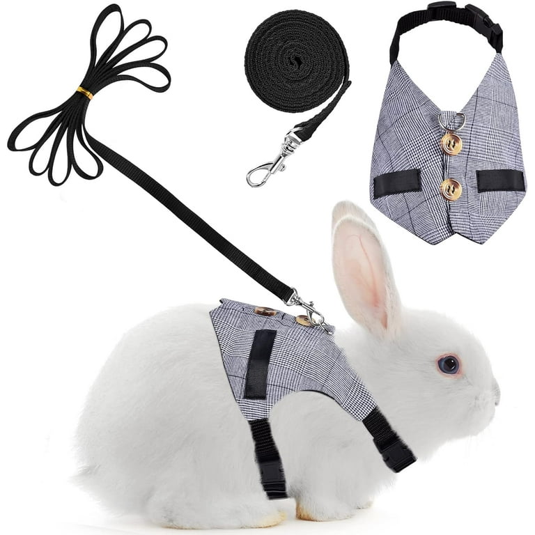 Bunny leash walmart cheap