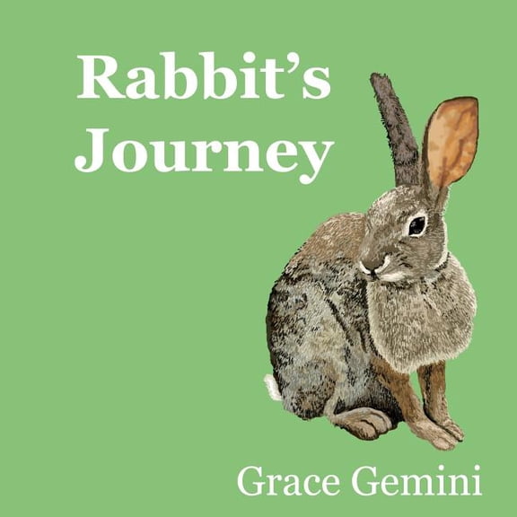 Rabbit's Journey, (Paperback)