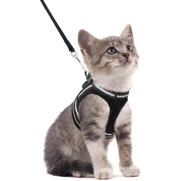 Rabbitgoo Cat Harness and Leash Set for Walking Escape Proof, Adjustable Soft Kittens Vest with Reflective Strip for Cats, Comfortable Outdoor Vest, Black