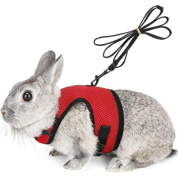 Rabbits Harness, With Elastic Lead, Adjustable Rabbit Harness And Lead Set, Mesh Vest for Hamsters Small Cats Guinea Pig Walking(L, Red)