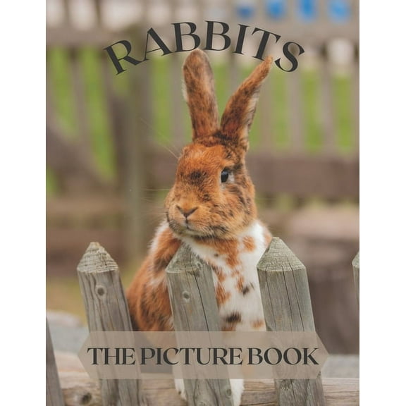 Rabbits: The Picture Book of Cute Rabbits Perfect Gift for Patients, Seniors & Dementia (Paperback)