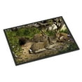thumbnail image 1 of Rabbits and the Rabbit Hole Doormat 18x27, 1 of 4