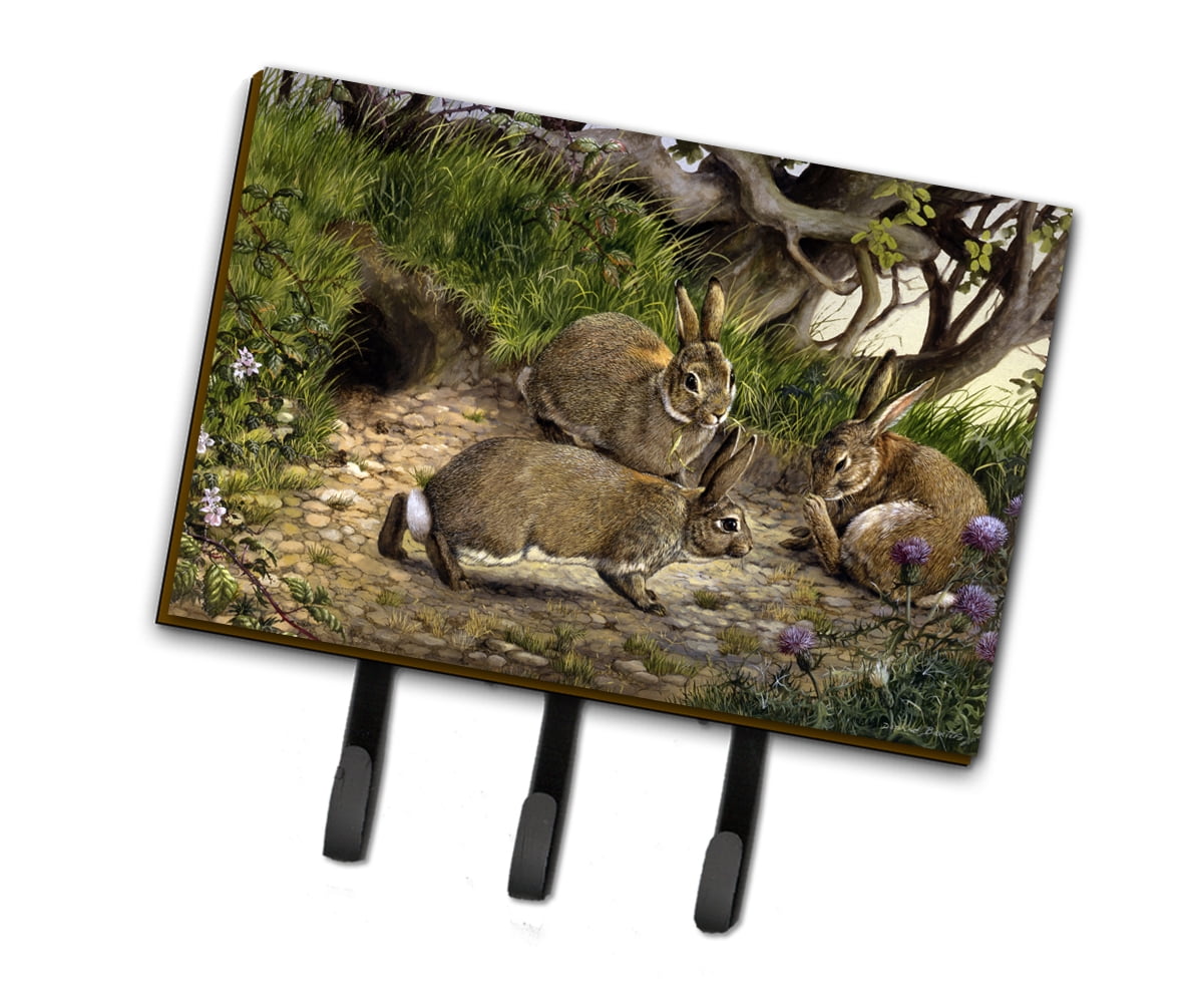 Rabbits and the Rabbit Hole Leash or Key Holder - Walmart.com