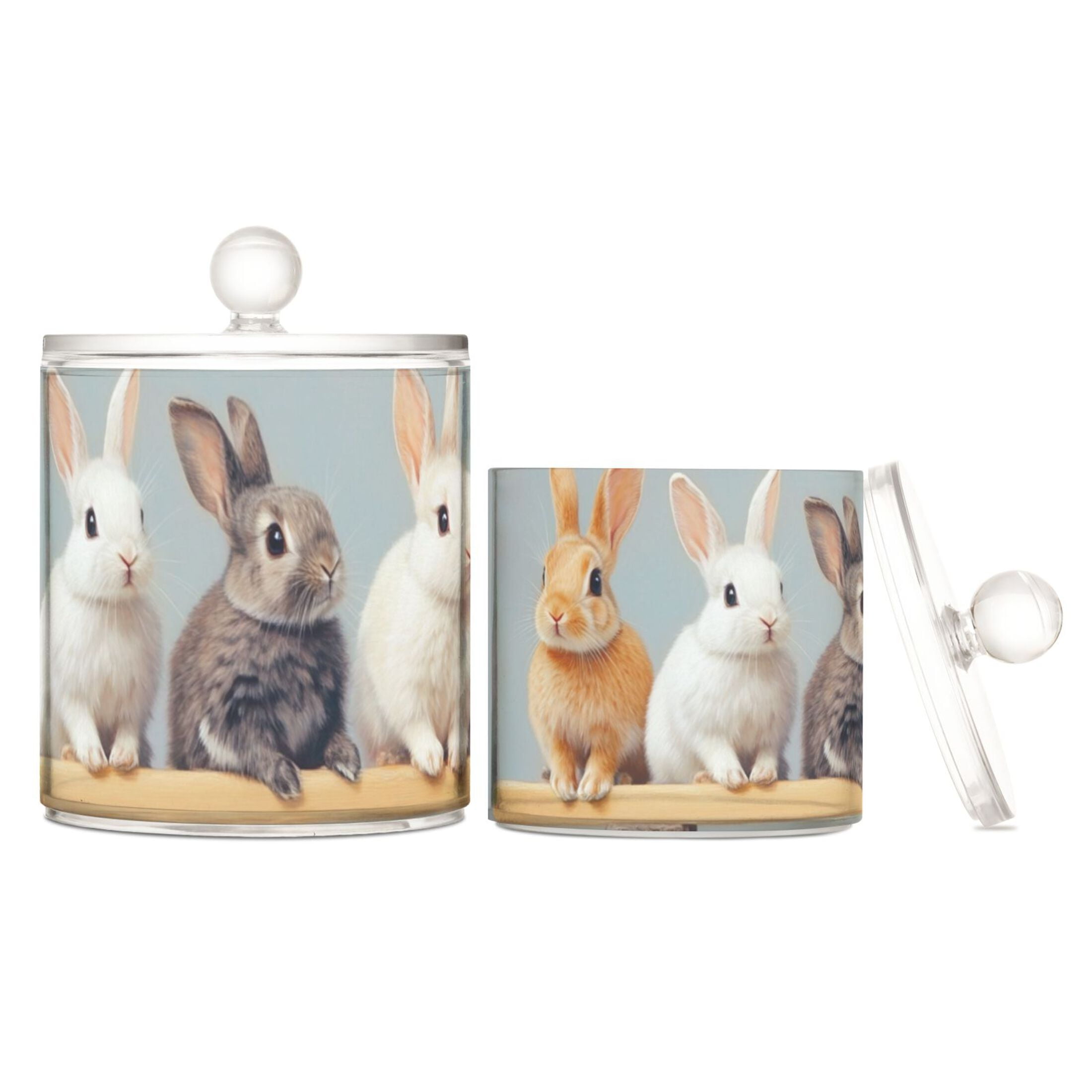 Rabbits in Row on Balance Beam Translucent Plastic Cans Storage ...