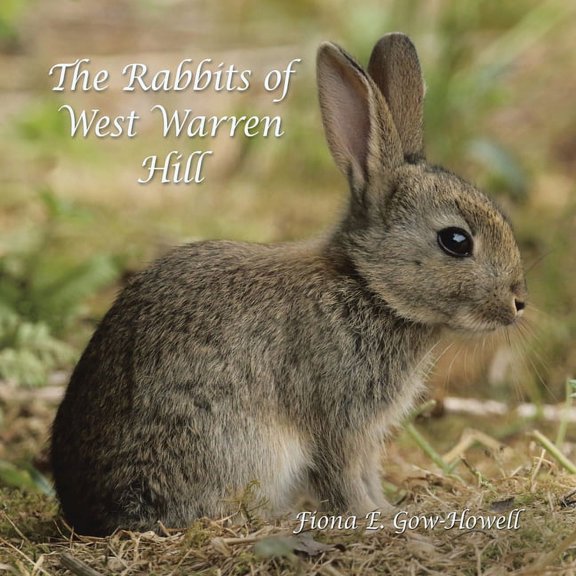 Rabbits of West Warren Hill