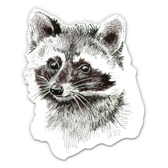 Raccoon Drawing - 3" Vinyl Sticker - For Car Laptop Water Bottle Phone - Waterproof Decal