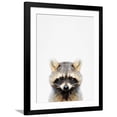 thumbnail image 1 of Raccoon Framed Photographic Print by Tai Prints, 24" x 32", Sold by Art.com, 1 of 5