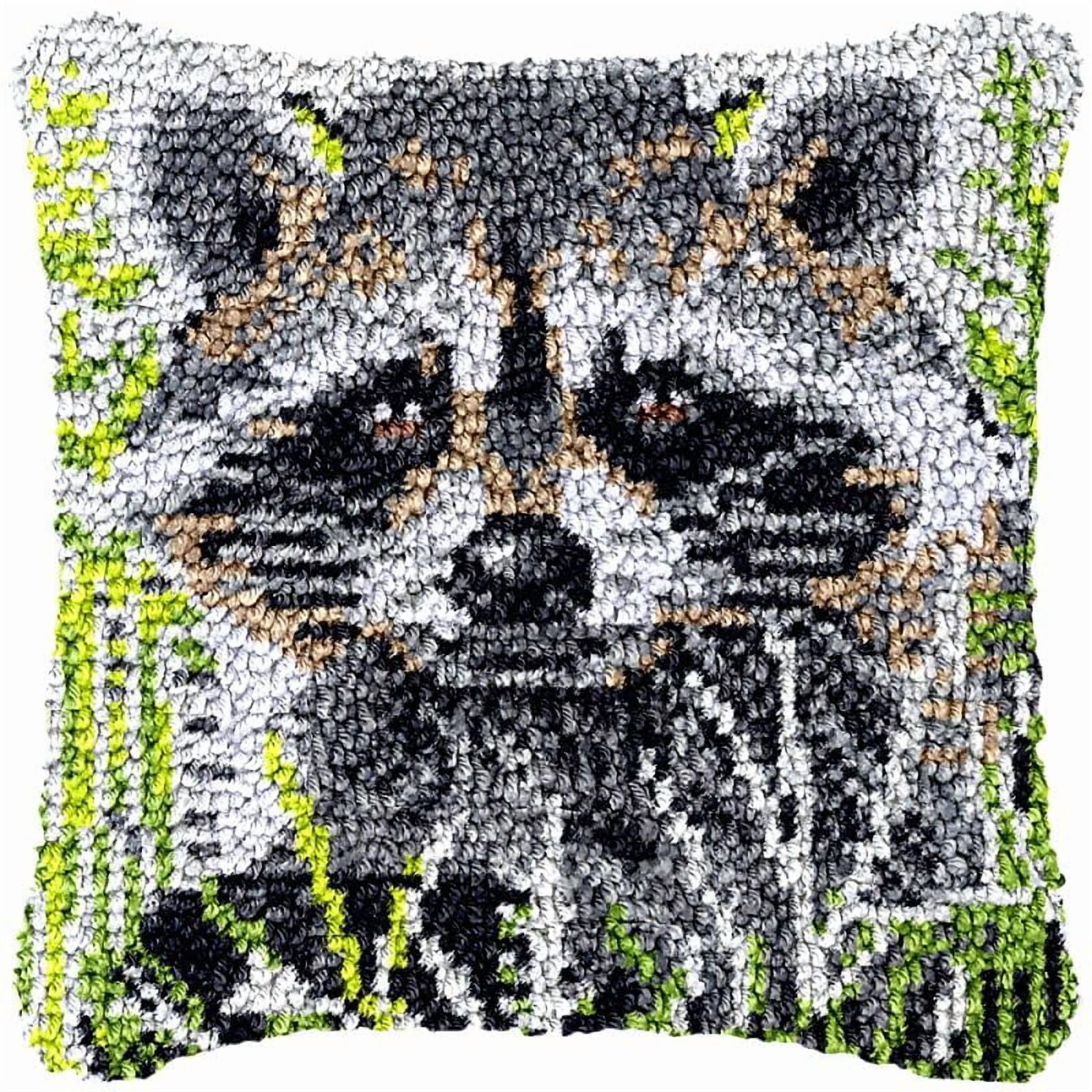 Raccoon Latch Hook Pillow Cover Kits for DIY Handmade Throw Pillow Cross Stitch Latch Hook Pillowcase Rug Kits with Preprinted Color Pattern Canvas Crochet Yarn Kits 17''X 17''(ys102)