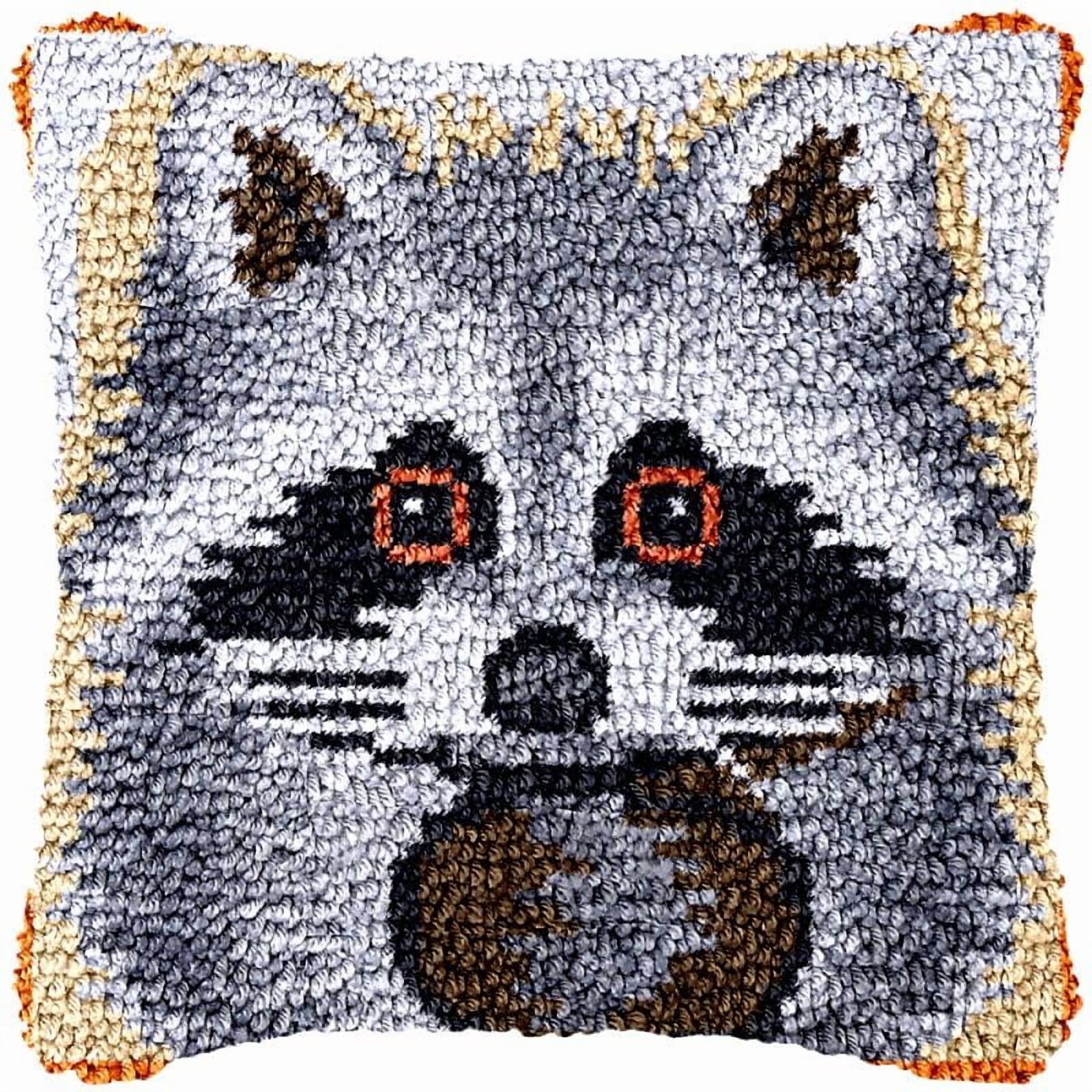 Raccoon Latch Hook Pillow Cover Kits for DIY Handmade Throw Pillow Cross Stitch Latch Hook Pillowcase Rug Kits with Preprinted Color Pattern Canvas Crochet Yarn Kits 17''X 17''(ys15)
