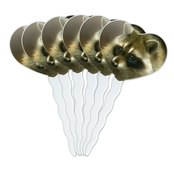 Raccoon Masked Bandit Heart Love Cupcake Picks Toppers Decoration Set of 6