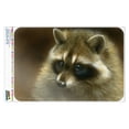 thumbnail image 1 of Raccoon Masked Bandit Home Business Office Sign, 1 of 4