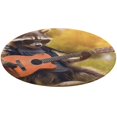thumbnail image 1 of Raccoon Playing Guitar Round Rugs -Washable Non-Slip Small Round Area Rug Throw Soft Circle Rugs for Bedroom, Modern Print Indoor Carpet for Entryway Sofa Living Room, 1 of 7