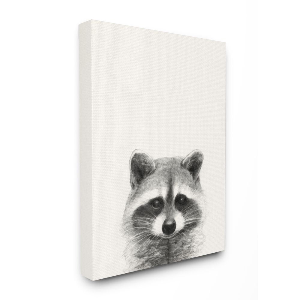 Raccoon Portrait Grey Drawing Design 30" x 40" Painting Canvas Art Print, by Stupell Home Décor
