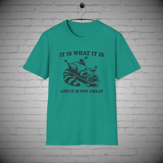 Raccoon T-Shirt, It is What it is and it's Not Great tee, Funny Raccoon tee