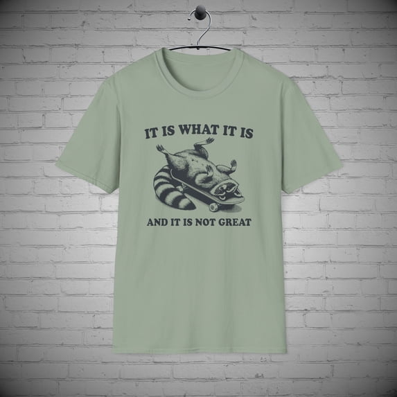Raccoon T-Shirt, It is What it is and it's Not Great tee, Funny Raccoon tee