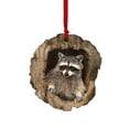 thumbnail image 1 of Raccoon in Log Christmas Ornament, Nature - Themed Festive Hanging Decor for Animal Lovers and Holiday Season Decorations - A, 1 of 4