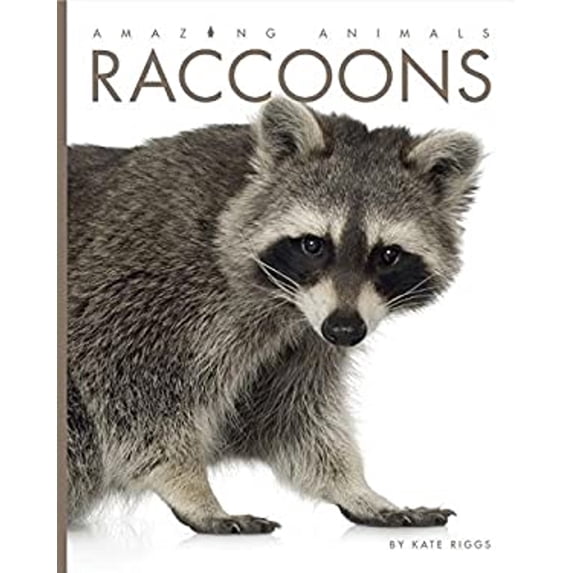 Pre-Owned Raccoons (Library Binding) 1608187578 9781608187577