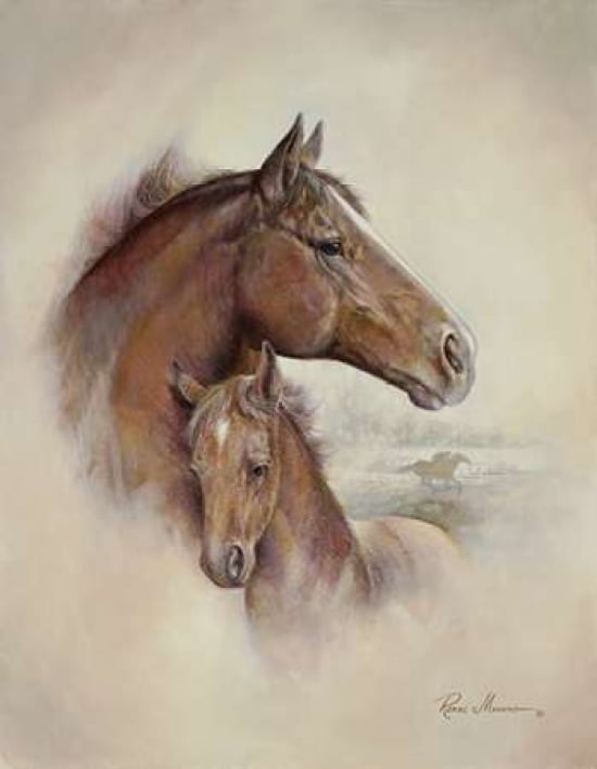 Race Horse II Canvas Art - Ruane Manning (22 x 28)