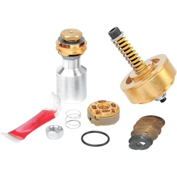 Race Tech FMGV S2048C Gold Valve Fork Kit