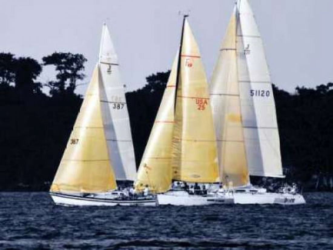 Race at Annapolis I Canvas Art - Alan Hausenflock (18 x 24)