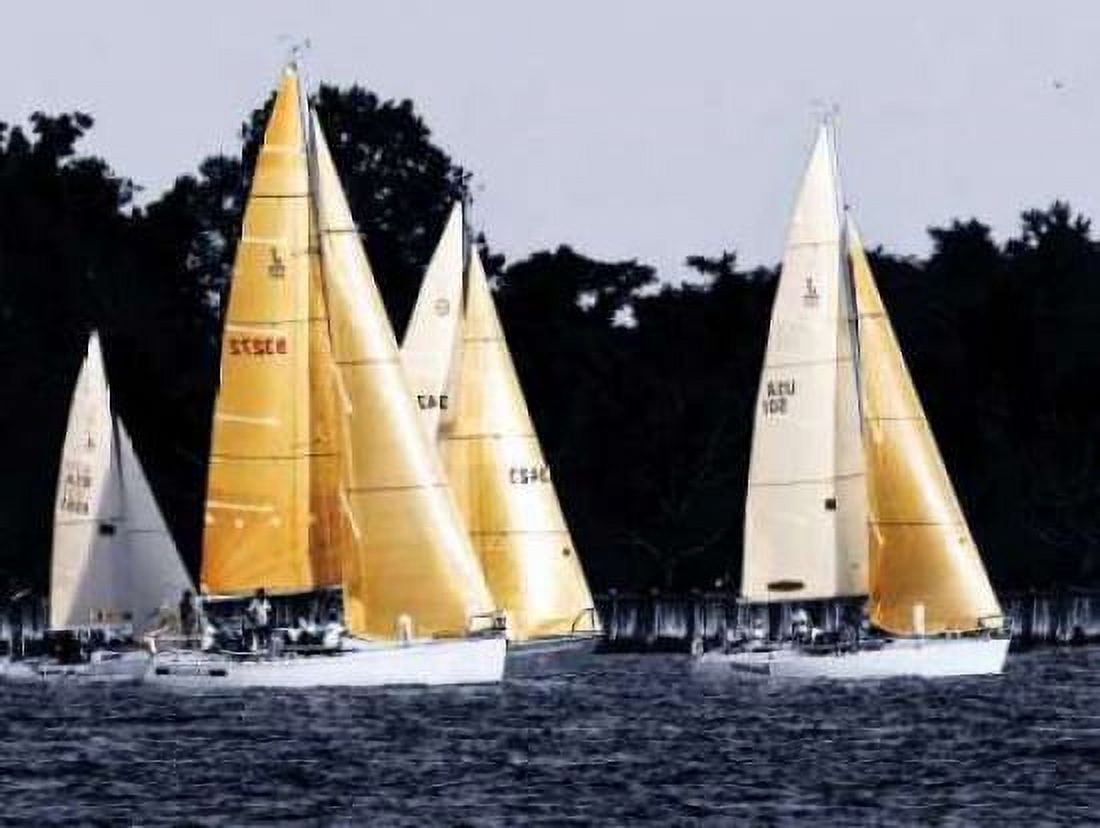 Race at Annapolis II Canvas Art - Alan Hausenflock (18 x 24)