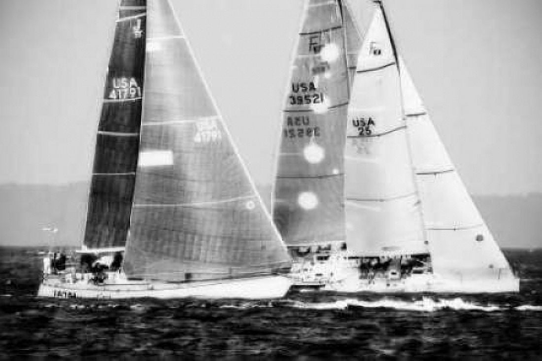 Race on the Chesapeake III Canvas Art - Alan Hausenflock (20 x 28)