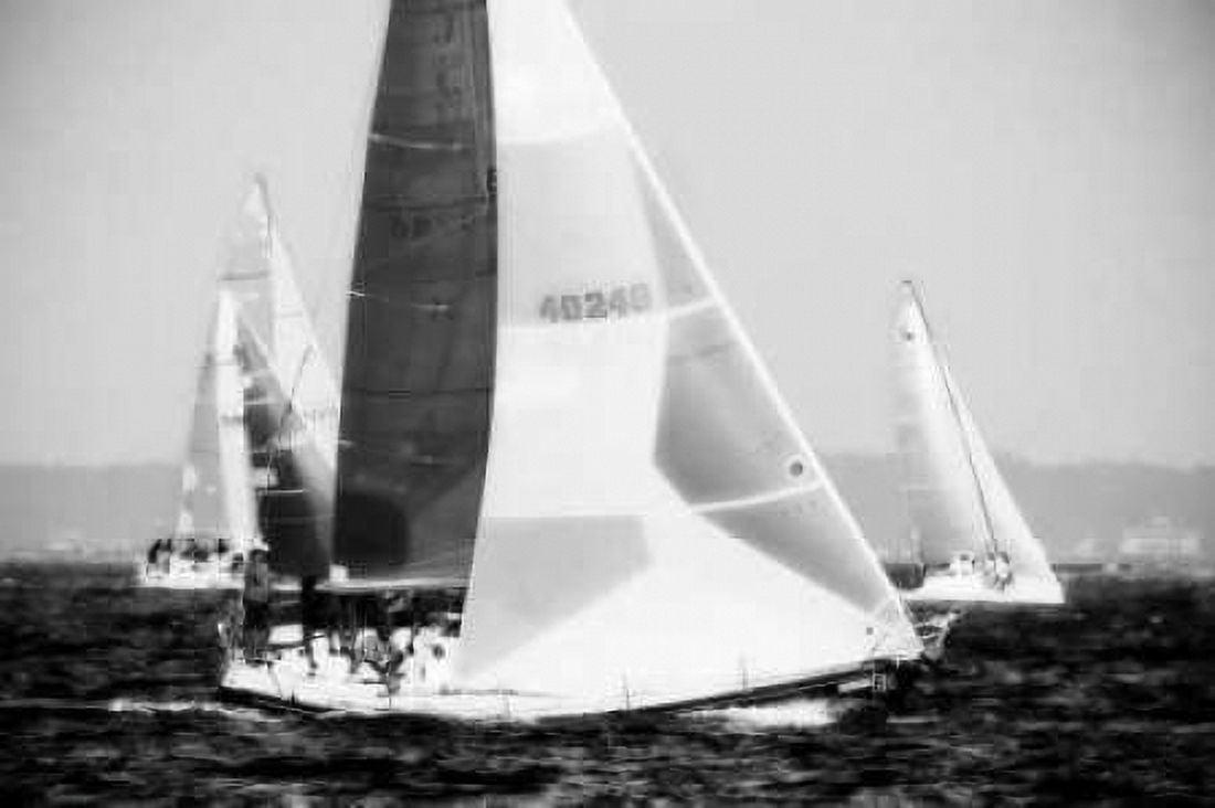 Race on the Chesapeake IV Canvas Art - Alan Hausenflock (20 x 28)