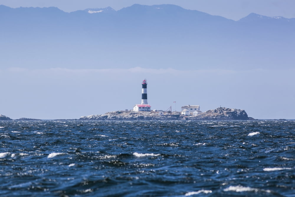 Race rocks lighthouse is situated on the juan de fuca strait near the southern tip of vancouver islandBritish columbia canada Canvas Art - Debra Brash  Design Pics (19 x 12)