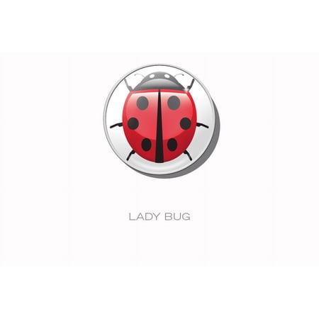 RaceDots: Magnetic Race Number Positioning System 4-Pack - LADY BUG