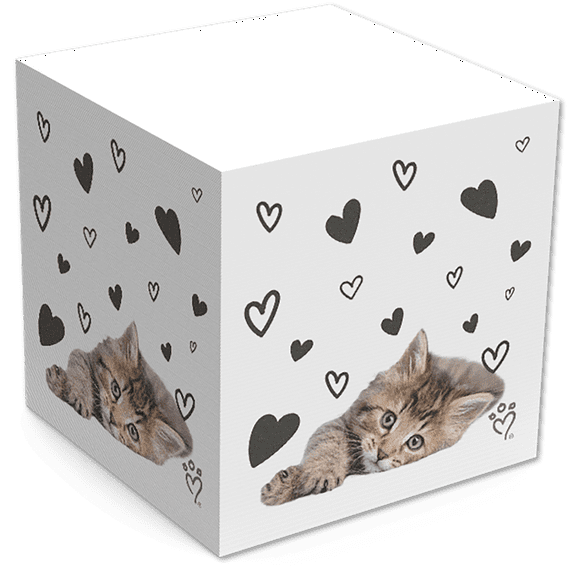 Rachael Hale 2 3/4 Sticky Note Cube, Gray Tabby Cat, 2/Pack
