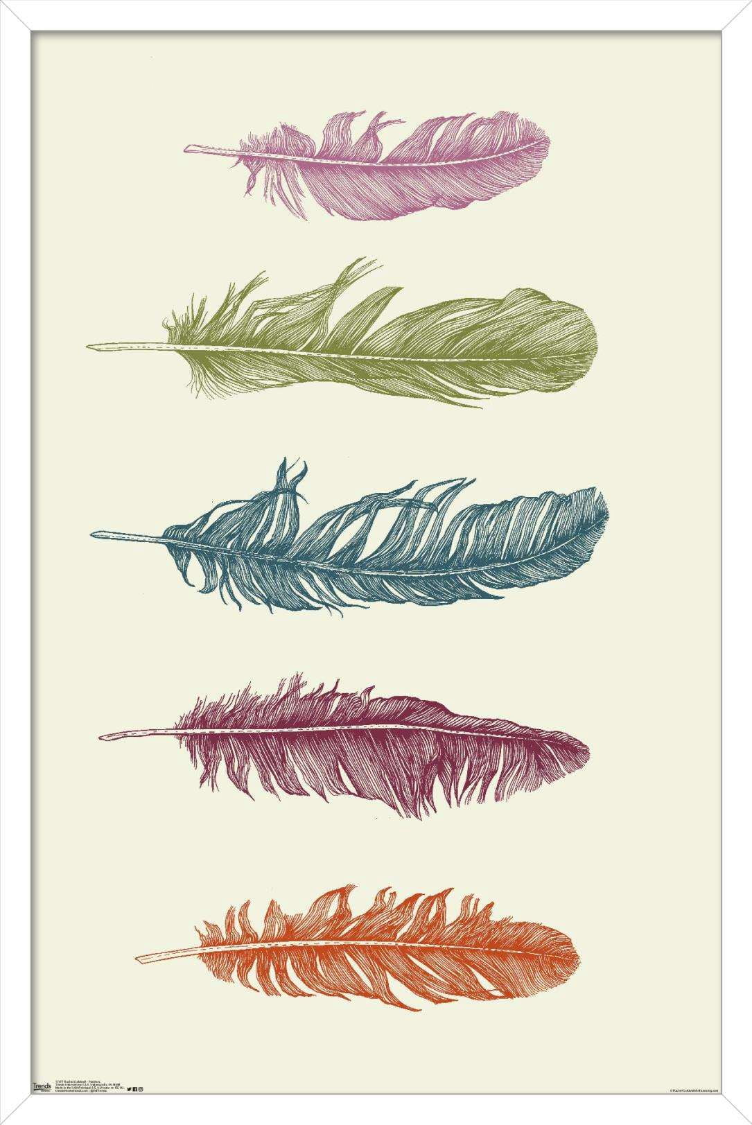 Rachel Caldwell - Feathers Wall Poster, 14.725" x 22.375", Framed