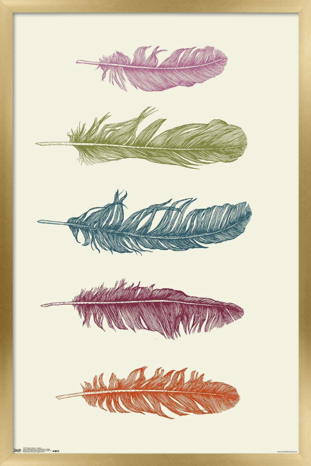 Rachel Caldwell - Feathers Wall Poster, 22.375" x 34", Framed