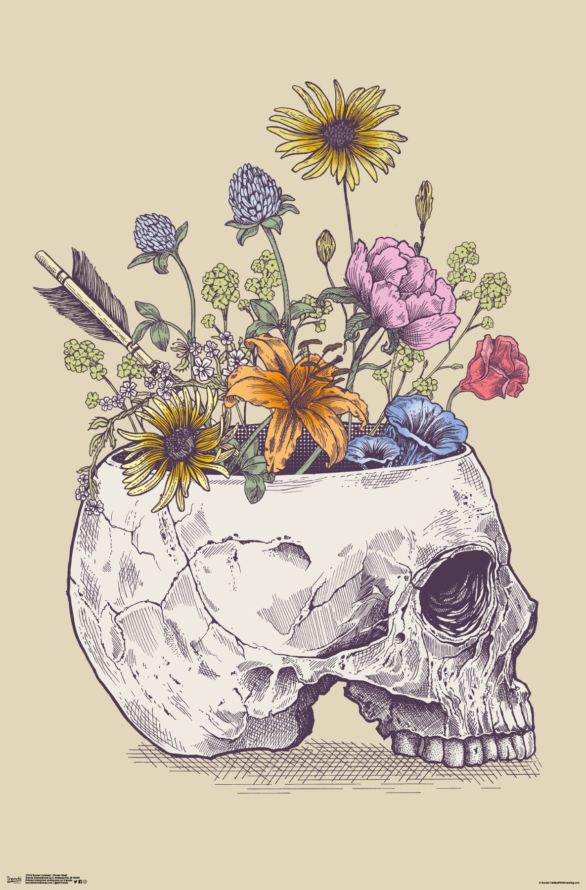 Rachel Caldwell - Flower Skull Wall Poster, 22.375" x 34"