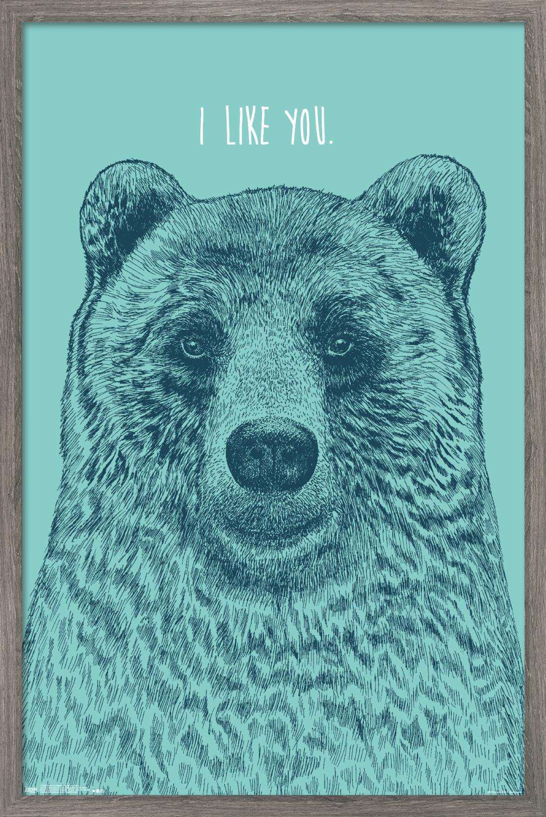 Rachel Caldwell - I Like You Bear Wall Poster, 14.725" x 22.375", Framed