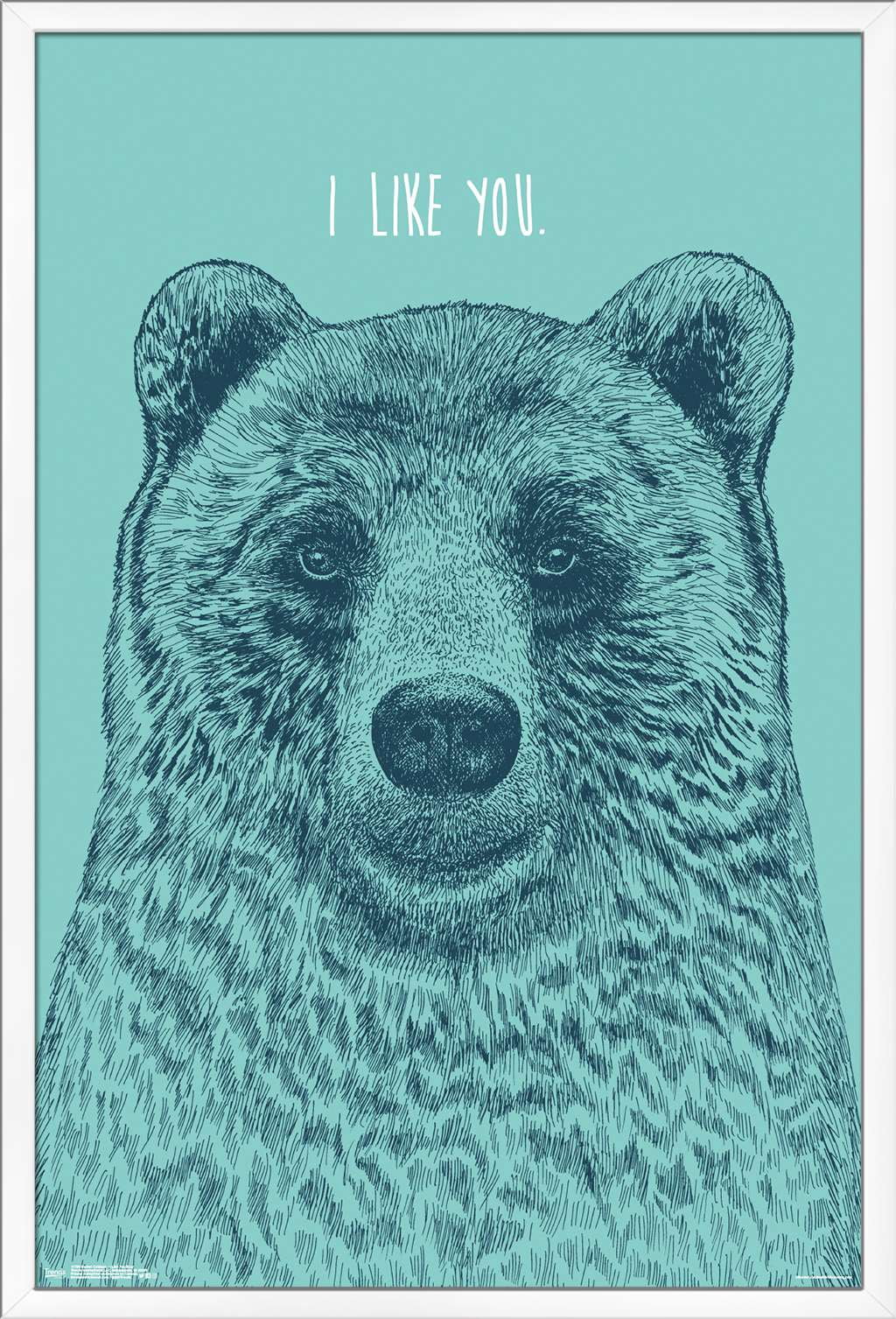 Rachel Caldwell - I Like You Bear Wall Poster, 22.375" x 34", Framed
