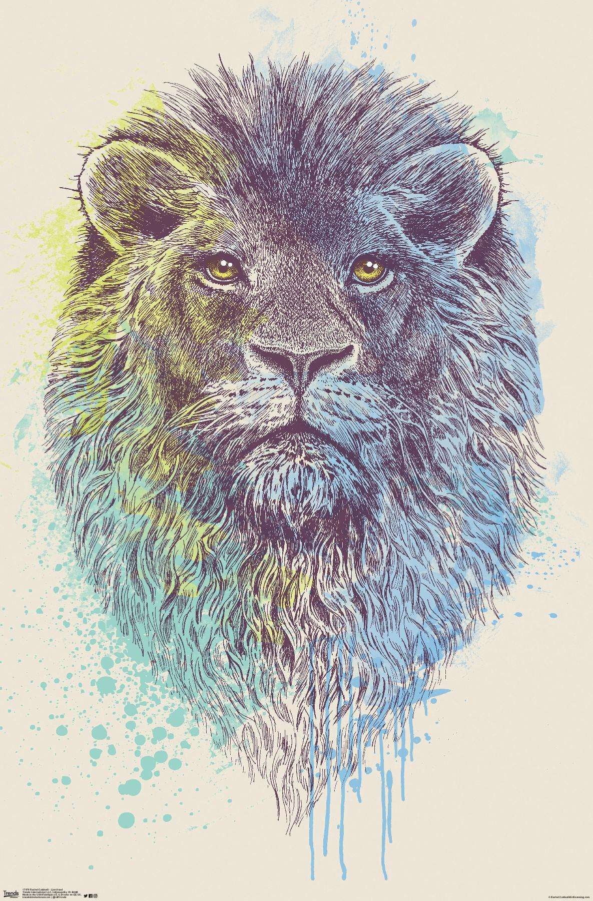 Rachel Caldwell - Lion Head Wall Poster, 14.725" x 22.375"