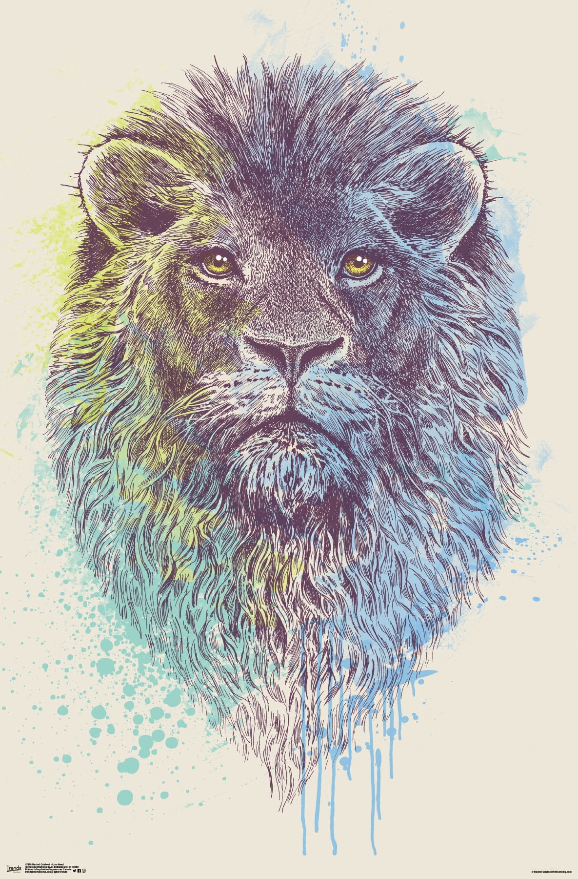 Rachel Caldwell - Lion Head Wall Poster, 22.375" x 34"