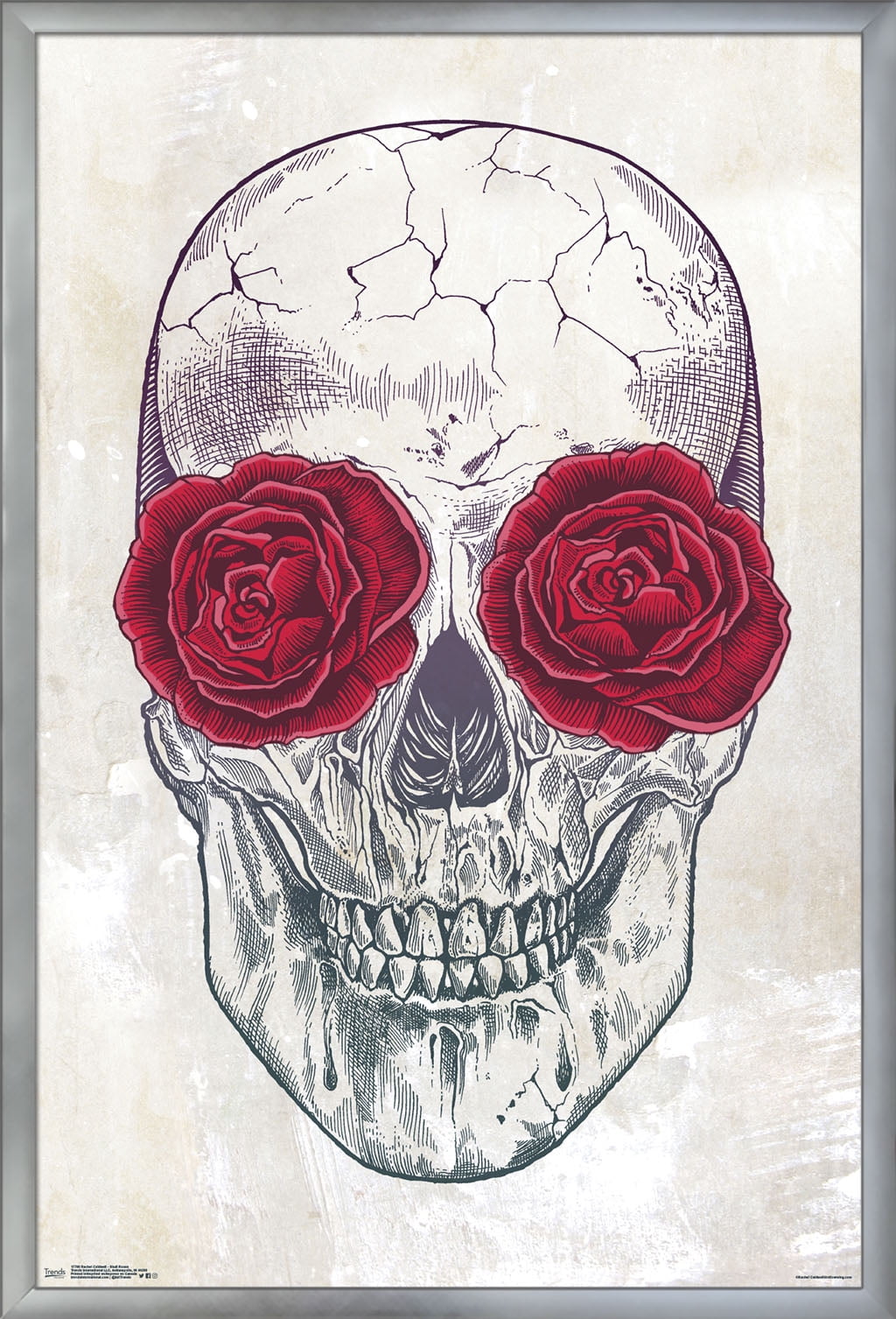 Rachel Caldwell - Skull Roses Wall Poster, 22.375" x 34", Framed