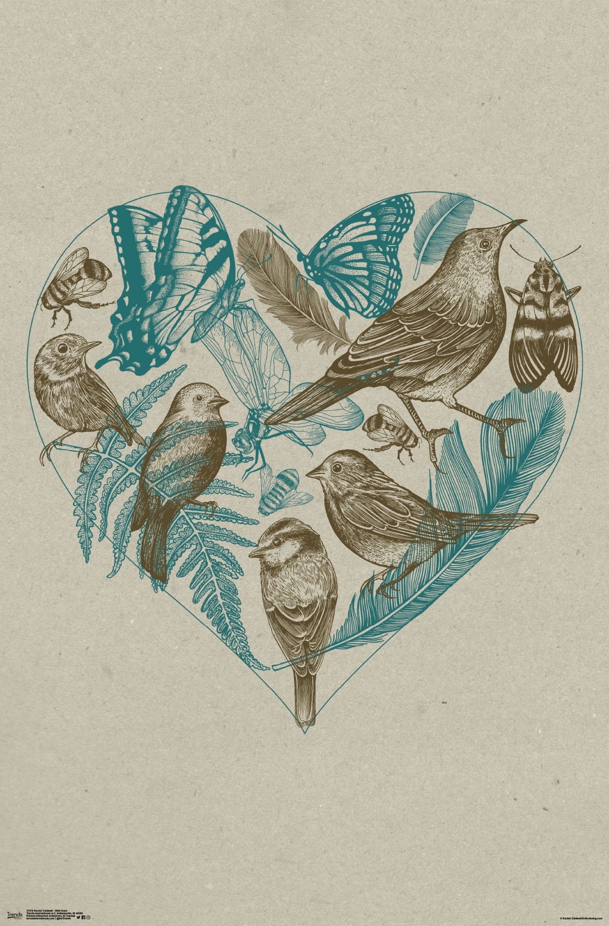 Rachel Caldwell - Wild Heart Wall Poster, 22.375" x 34"