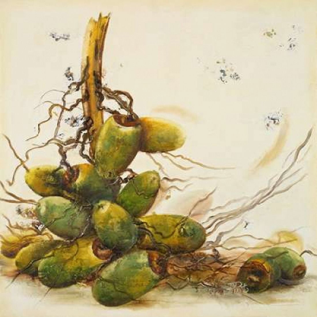 Racimo de Cocos I Canvas Art - Patricia Pinto (24 x 24)