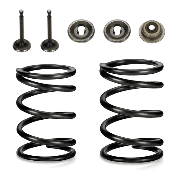 Racing 18lb Valve Springs Kit for Predator 196cc 212cc 224cc Non Hemi GX160 GX200 6.5HP OHV Clone Mini Bike CT200U BT200X Powerhorse 208cc Tillotson KT196 Go Kart Performance Parts