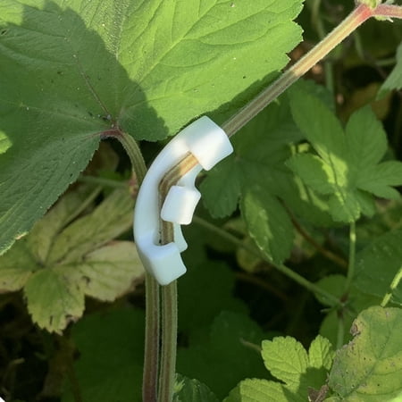 Racing Butterfly 12Pcs Plastic 90° Plant Benders Trainer Growth Manipulation Tutors Plants Clips